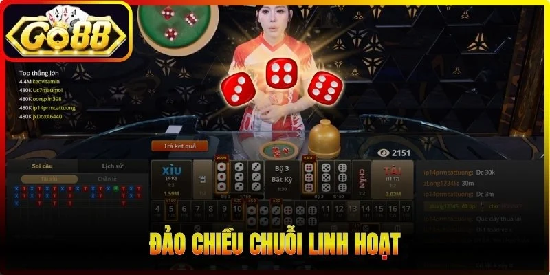 Đảo chiều chuỗi linh hoạt