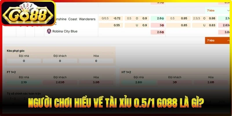 Người chơi hiểu về tài xỉu 0.5/1 Go88 là gì?