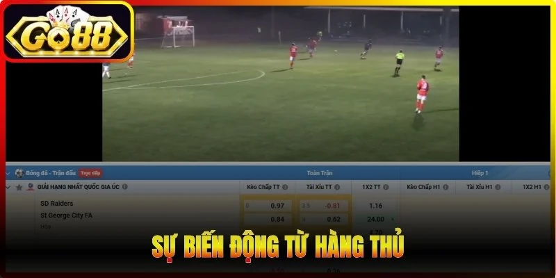 Sự biến động từ hàng thủ