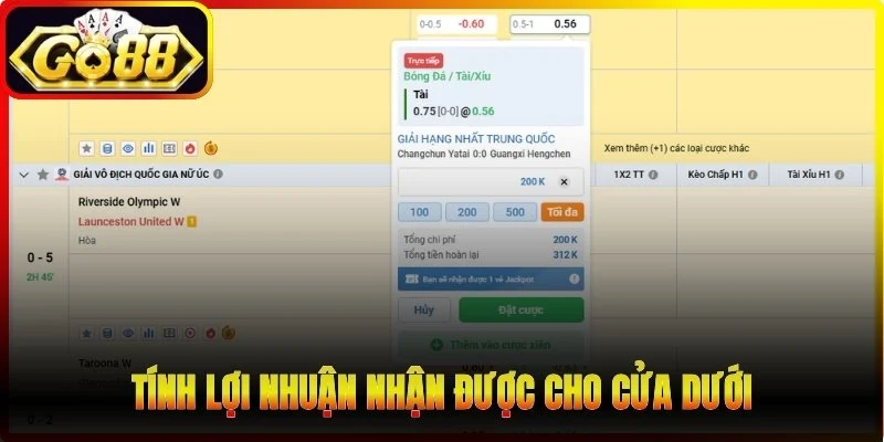 Tính lợi nhuận nhận được cho cửa dưới